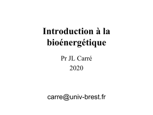 Bioénergétique : Introduction et Principes Thermodynamiques