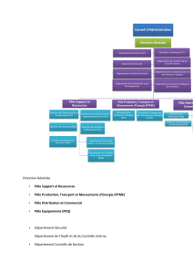 Organigramme de la Direction Générale et des Pôles d'une Entreprise