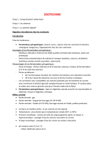 Zootechnie: Digestion Microbienne chez les Ruminants - Cours Complet