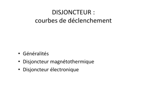 disjoncteur (1)