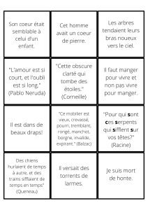 Figures de Style et Citations Célèbres en Français