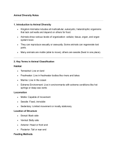Animal Diversity Notes: Classification, Body Plans, Phyla & Key Terms
