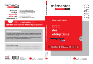 Droit des obligations - Cours intégral et synthétique - Mémentos 2019/20