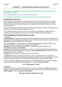 Divisions Cellulaires Eucaryotes : Mitose et M&eacute;iose - Chapitre 1