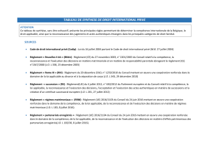 Droit International Privé Belgique: Compétence, Loi Applicable, Jugements