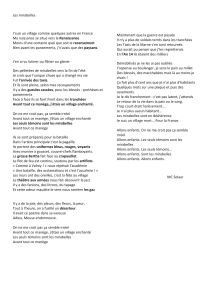 Les Mirabelles : Analyse de chanson et questions (MC Solaar)