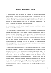 Droit International Public : Histoire, Institutions et Théories