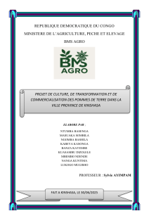 Projet de culture et commercialisation de pommes de terre à Kinshasa