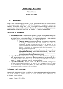 Sociologie de la sant&eacute; : Cours introductif