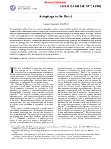 Autophagy in the Heart: Mechanisms, Mitophagy & Heart Failure