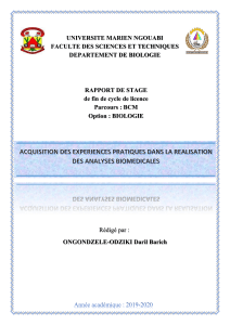 Rapport de Stage Licence Biologie: Analyses Biomédicales - Université Marien Ngouabi