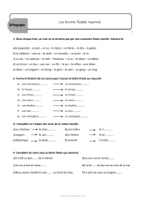 Exercice Lettres Muettes Français