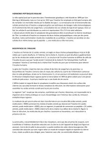 Insuline : Biosynth&egrave;se, S&eacute;cr&eacute;tion et M&eacute;canisme d'Action