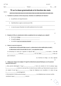 Test de Grammaire Française: Classes et Fonctions des Mots (Lycée)