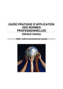 Guide d'audit OHADA: Application des normes ISA