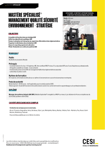 Mastère QSE : Management Qualité Sécurité Environnement - CESI