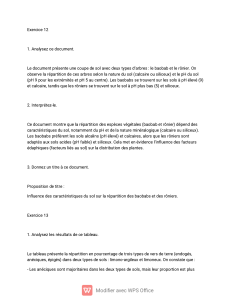 Exercices d'édaphologie : Sol, plantes et vers de terre