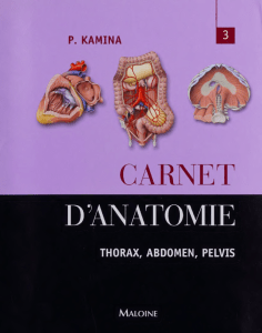 Carnet d'Anatomie: Thorax, Abdomen, Pelvis - Guide Complet