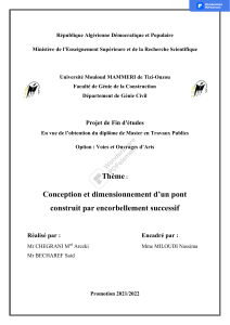Conception et Dimensionnement Pont par Encorbellement Successif - Master TP