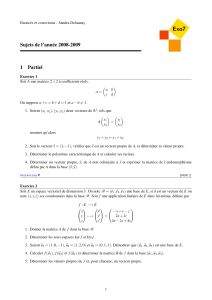 Exo7 Algèbre Linéaire : Sujets & Corrections 2008-2009