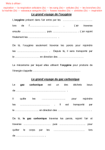 Voyage de l'Oxygène et du CO2 : Fiche d'Exercice Biologie