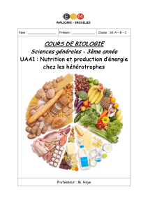 Cours de Biologie S3: Nutrition & Énergie chez les Hétérotrophes