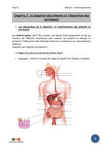Digestion et Absorption des Nutriments | Biologie - Sciences Générales