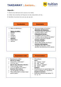 Français Juniors A : Vocabulaire, Grammaire, Prononciation & Expression