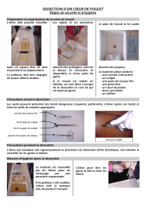 Document TP coeur-5-6