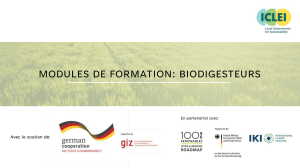 Formation Biodigesteurs: Systèmes Bioénergie & Technologies de Conversion