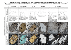 Identification de Minéraux au Microscope: Roches Magmatiques & Métamorphiques