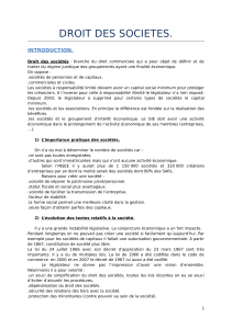 Droit des Sociétés : Introduction et Existence Juridique