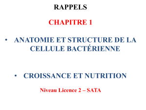 Anatomie et Croissance Bact&eacute;rienne: Cours de Microbiologie L2