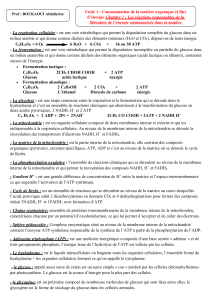 Métabolisme énergétique cellulaire : Respiration et Fermentation
