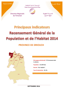 Indic2014 DRIOUCH (1)