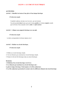 Le Circuit &Eacute;lectrique: Le&ccedil;ons, Activit&eacute;s et Exercices de Physique