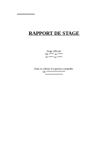Rapport de Stage en Cabinet d'Expertise Comptable: CVAE et Gestion