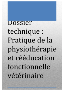Physioth&eacute;rapie V&eacute;t&eacute;rinaire : Guide Pratique et R&eacute;&eacute;ducation Fonctionnelle