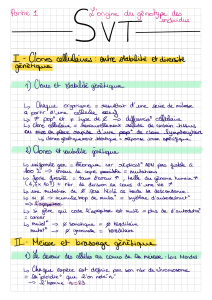 L'origine du g&eacute;notype : Clones cellulaires, M&eacute;iose et G&eacute;n&eacute;tique SVT