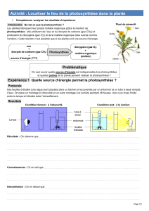 Activité Photosynthèse : Localisation et Source d'Énergie dans la Plante