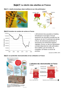 7 abeilles