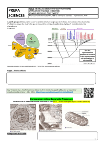 Biologie Cellulaire: Eucaryotes, Procaryotes, Membrane & Virus