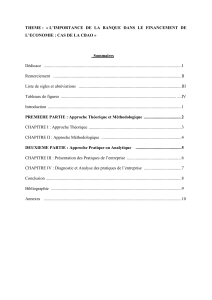 Banque CBAO & Financement Économique: Une Thèse