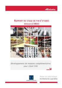 Rapport de Stage Master Informatique - Arnaud Le Bras - Université de Nantes