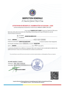 Attestation de R&eacute;ussite Examen d'&Eacute;tat RDC - NDOMBE MULEMBESI PAPY