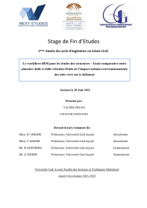 Workflows BIM en Génie Civil: Étude Comparative Structures & Toits Verts