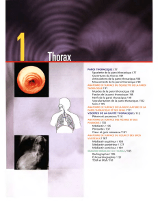 Anatomie du Thorax: Squelette, Muscles, Viscères et Imagerie Médicale