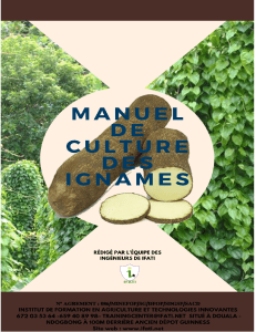 Manuel de Culture des Ignames : Guide Complet par IFATI