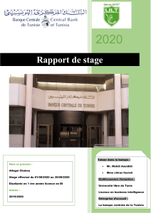Rapport de Stage en Business Intelligence &agrave; la Banque Centrale de Tunisie
