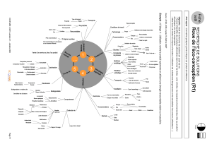 Roue de l'éco-conception (R1): Guide de Solutions en Cycle de Vie